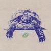 Download track TURTLE STAR (Inst.)