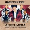 Download track Se Fue La Pantera / Lamberto Quintero