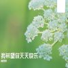 Download track 雪花不飘我不飘