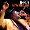 Download track Natty Kung Fu (Live)