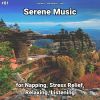 Download track Serene Music, Pt. 69