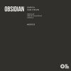 Download track Obsidian