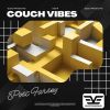 Download track Couch Vibes (Radio Edit)