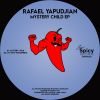 Download track Mystery Child