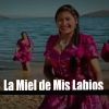 Download track La Miel De Mis Labios