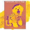 Download track Delightful Ambiance For Morning Dog Walks