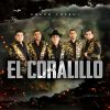 Download track El Coralillo