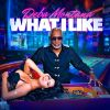 Download track What I Like (Radio Mix)