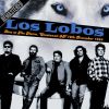 Download track Los Ojos De Pancha (Live)