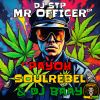 Download track Mr Officer (Reggae Dub Mix)