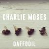 Download track Daffodil