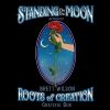 Download track 01 - Standing On The Moon (Acoustic Cover)