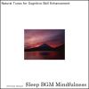 Download track Tranquility Of Sleep Ushered By The Echoes Of A Serene Lake