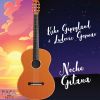 Download track Noche Gitana