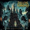 Download track Malevolent Throne