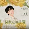 Download track 风吹过的晨曦 (电视剧《玫瑰的故事》情感主题曲) (和声伴奏版)