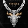 Download track Chosen One