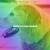 Download track Festive Jazz Guitar Trio - Vibe For Lonely Dogs