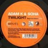 Download track Twilight (Ten Years Of)