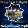 Download track Part Of Surat Al Baqara, Pt. 2 (Hafs Muratal)