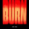 Download track Burn