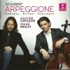 Download track Schubert - Arpeggione Sonata In A Major D. 821 - II. Adagio