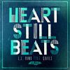 Download track Heart Still Beats (Husky's Breathing Lies Dub)