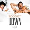 Download track Down