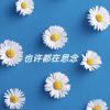 Download track 自由才是生活常态