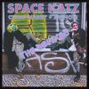 Download track Space Katz (Positive Conundrum Remix)