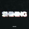 Download track Shining