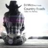 Download track Country Roads (Radio Edit)