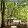 Download track Foret De Juin