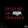 Download track Culture Of Violence