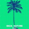 Download track You Wanna Be (Ibiza Son Dub Remix)