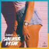 Download track Summer Break