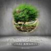 Download track Natural Awareness