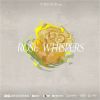 Download track Rose Whispers (玫瑰私语) (电视剧《玫瑰的故事》插曲) (和声伴奏版)