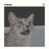 Download track A Cat Loosening Up