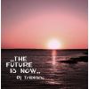 Download track Dj Triblanc - The Future Is Now