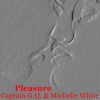 Download track Pleasure (Radio Edit)