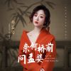 Download track 奈何桥前问孟婆 (伴奏)