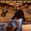 Download track Outlaw Side Of Me