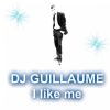 Download track DJ GUILLAUME I Like Me