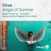 Download track Angel Of Summer (Original Mix)