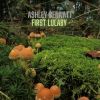 Download track First Lulaby