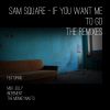 Download track If You Want Me To Go (Increment's Earnest Mix)