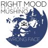 Download track Wrong Face