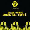 Download track Exodus (Extended Mix)