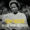 Download track Delta Blues (Digitally Remastered)